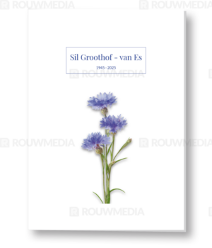 Rouwkaart met korenbloem in bloei